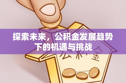 哈密探索未来，公积金发展趋势下的机遇与挑战