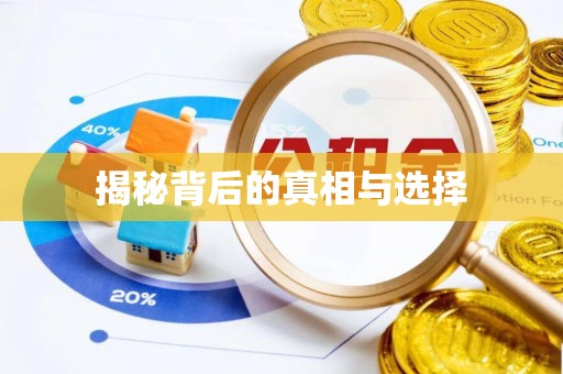 哈密揭秘背后的真相与选择