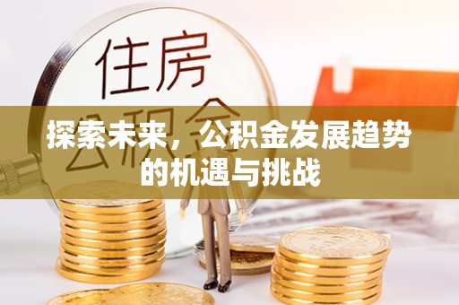 哈密探索未来，公积金发展趋势的机遇与挑战