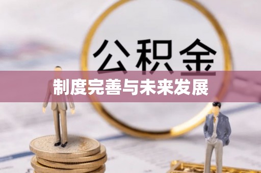 哈密制度完善与未来发展