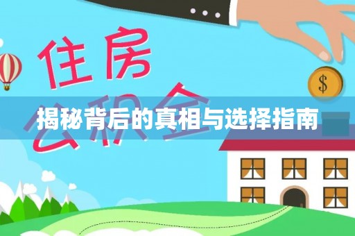哈密揭秘背后的真相与选择指南