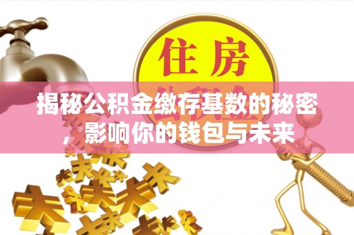 哈密揭秘公积金缴存基数的秘密，影响你的钱包与未来