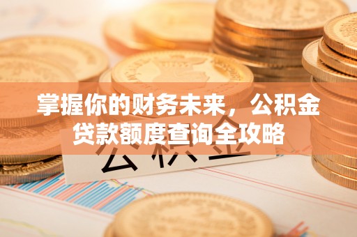 哈密掌握你的财务未来，公积金贷款额度查询全攻略