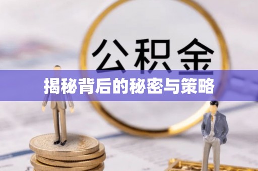 哈密揭秘背后的秘密与策略