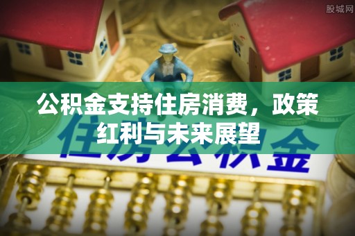 哈密公积金支持住房消费，政策红利与未来展望