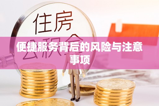 哈密便捷服务背后的风险与注意事项