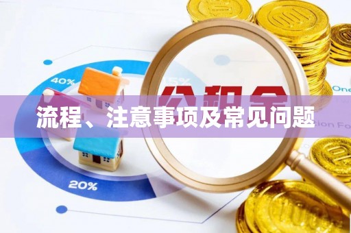 哈密流程、注意事项及常见问题