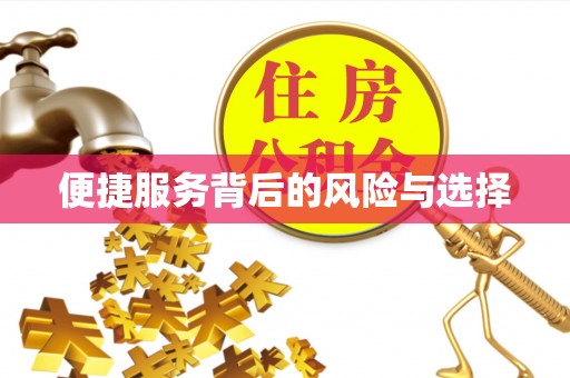哈密便捷服务背后的风险与选择